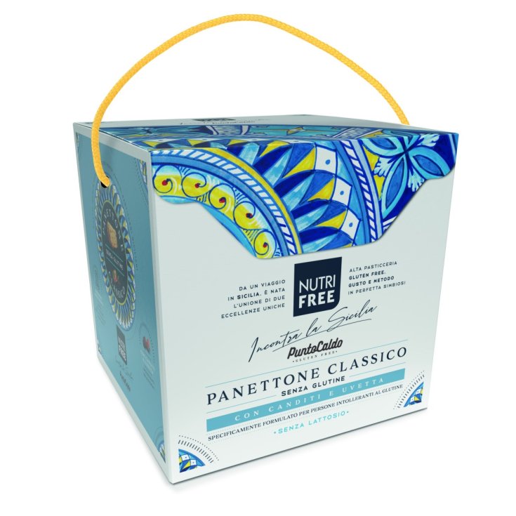 NUTRIFREE PANETTONE CLASSICO CON UVETTA E CANDITI 450 G - Farma Nice