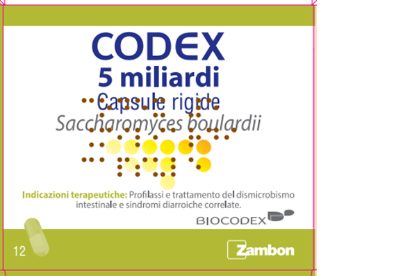 CODEX*12CPS 5MLD 250MG - Farma Nice