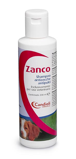 ZANCO*SH FL PE 200ML - Farma Nice