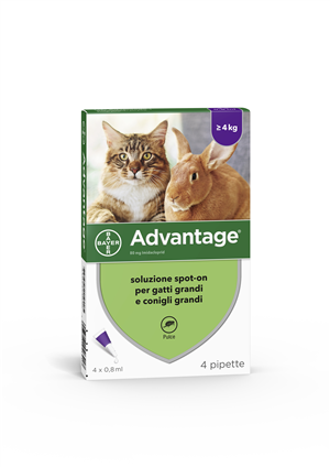ADVANTAGE*4PIP 0,8ML SPOTON - Farma Nice
