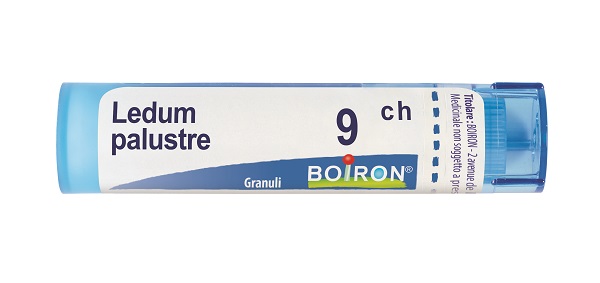 LEDUM PALUSTRE 9 CH GRANULI 4G - Farma Nice