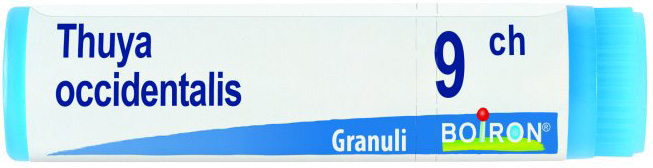THUYA OCCIDENTALIS 9 CH GLOBULI - Farma Nice