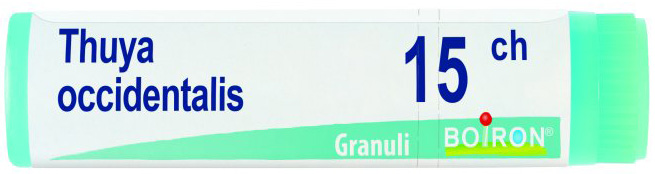THUYA OCCIDENTALIS 15 CH GLOBULI - Farma Nice