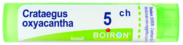 CRATAEGUS OXYACANTHA 5CH GRANULI - Farma Nice