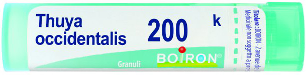 THUYA OCCIDENT 200K GRANULI - Farma Nice