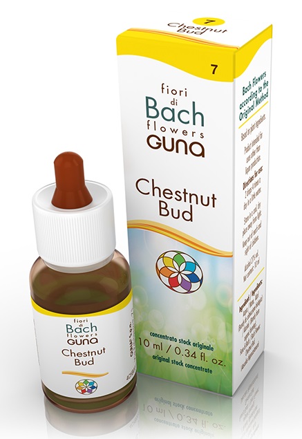 CHESTNUT BUD GOCCE 10 ML - Farma Nice
