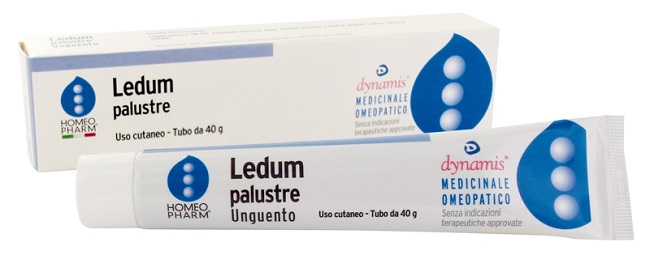 LEDUM PALUSTRE HOMEOPHARM UNGUENTO 40 G - Farma Nice