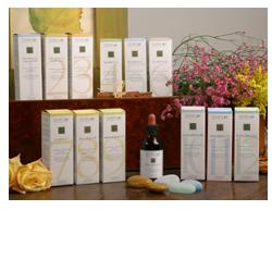 ZEF11 CALMA PLANT STV - Farma Nice