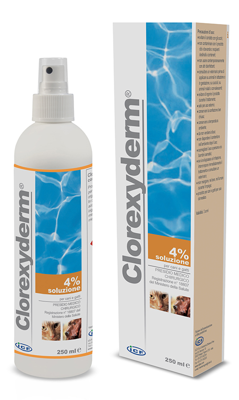 CLOREXYDERM SOLUZIONE 4% 250 ML - Farma Nice