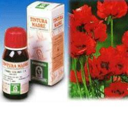 PAPAVERO CALIFORNIA 13 50ML TM - Farma Nice