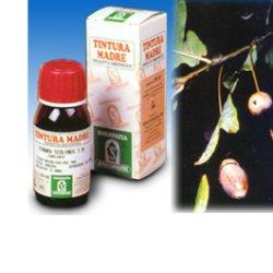 QUERCIA MARI 14 50ML TM - Farma Nice