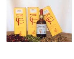 RIBES GEMME 50ML MG - Farma Nice