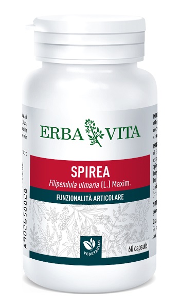 SPIREA ULMARIA 60 CAPSULE 400 MG - Farma Nice