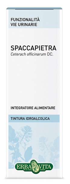 SPACCAPIETRA TINTURA IDROALCOLICA 50 ML EBV - Farma Nice