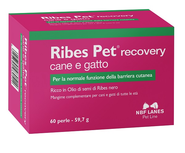 RIBES PET RECOVERY BLISTER 60 PERLE - Farma Nice