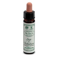 AINSWORTHS STAR OF BETHLEM 10M - Farma Nice