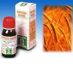 AVENA SATIVA 3 50ML TM - Farma Nice