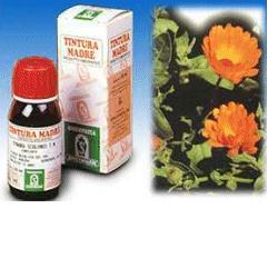 CALENDULA OFF 5 50ML TM - Farma Nice