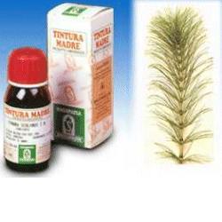 EQUISETO 12 50ML TM - Farma Nice