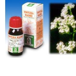 VALERIANA 36 TINTURA MADRE 50 ML - Farma Nice