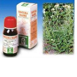 ACHILLEA 51 50ML TM - Farma Nice