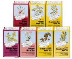 ORTICA TISANA BIO 15 FILTRI - Farma Nice