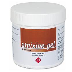 ARNIXINE GEL 750 ML - Farma Nice