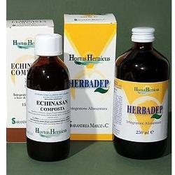 ECHINASAN COMP 150 ML - Farma Nice