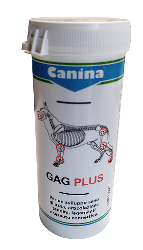 GAG PLUS 200 G 120 TAVOLETTE - Farma Nice
