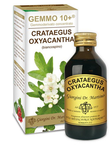 GEMMO 10+ BIANCOSPINO LIQUIDO ANALCOLICO 100 ML - Farma Nice