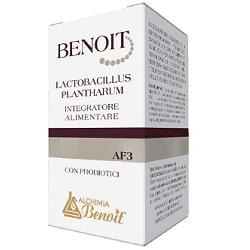 BENOIT LACTOBACILLUS PLANTHARUM 30 CAPSULE - Farma Nice