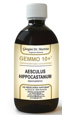 GEMOO 10+ GEMMODERIVATO CONCENTRATO IPPOCASTANO LIQUIDO ANALCOLICO AESCULUS HIPPOCASTANUM IPPOCASTANO 500 ML - Farma Nice