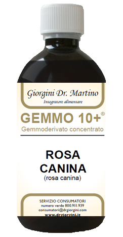 GEMMO 10+ ROSA CANINA LIQUIDO ANALCOLICO 500 ML - Farma Nice