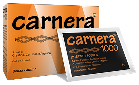CARNERA 1000 18 BUSTINE - Farma Nice