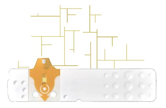STRISCE MISURAZIONE GLICEMIA LINEA D ORO 50 PEZZI - Farma Nice