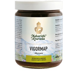 VIGORMAP PASTA 600 G - Farma Nice