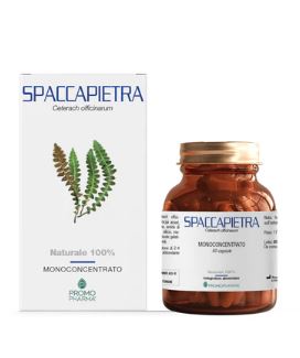 SPACCAPIETRA 50 CAPSULE - Farma Nice