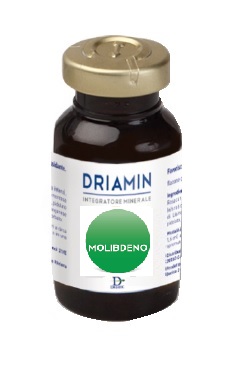 DRIAMIN MOLIBDENO 15 ML - Farma Nice