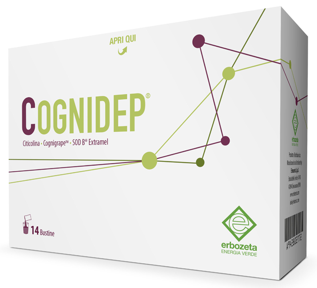 COGNIDEP 14 BUSTINE - Farma Nice