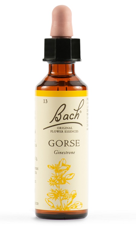 GORSE BACH ORIG 20 ML - Farma Nice