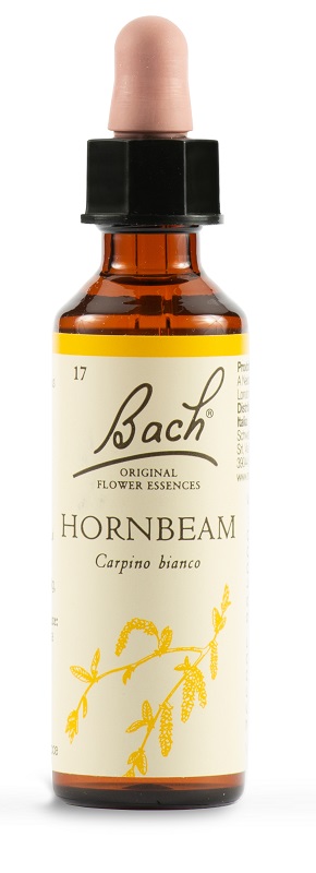 HORNBEAM BACH ORIG 20 ML - Farma Nice