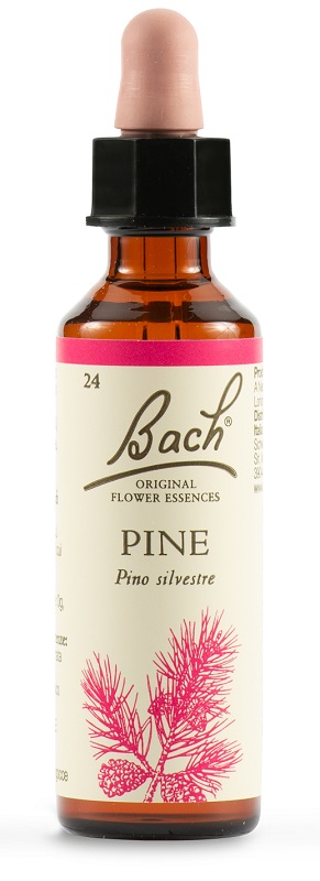 PINE BACH ORIG 20 ML - Farma Nice
