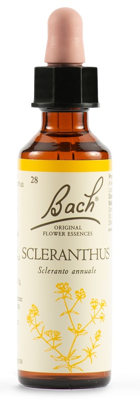 SCLERANTUS BACH ORIG 20 ML - Farma Nice