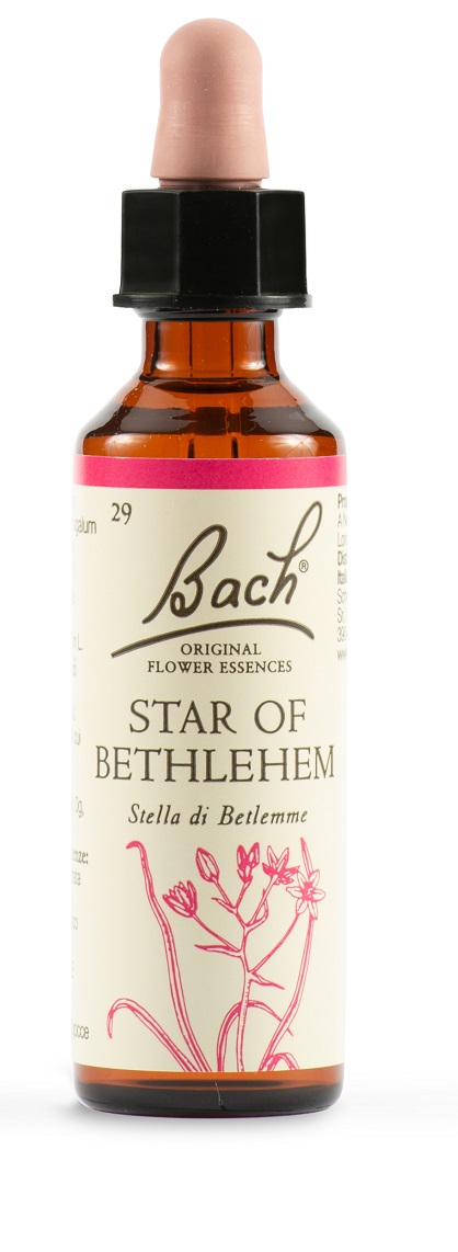 STAR OF BETHL ORIG 20 ML - Farma Nice