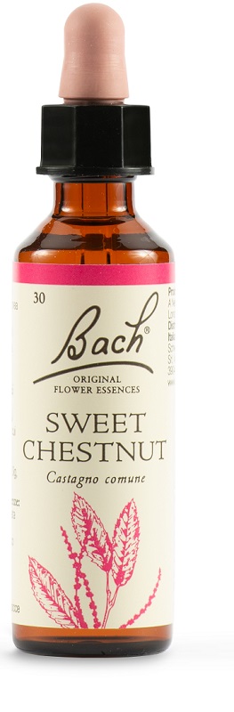 SWEET CHEST BACH ORIG 20 ML - Farma Nice