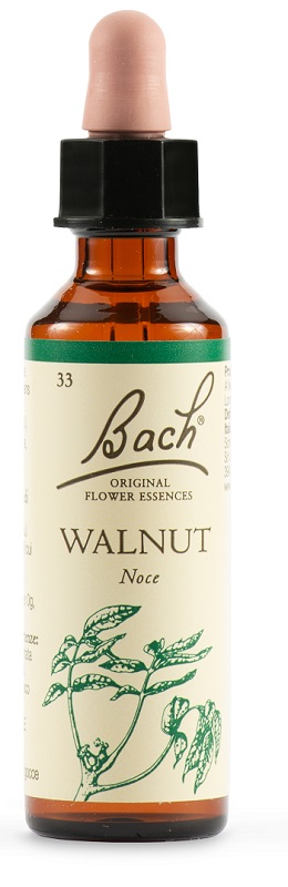 WALNUT BACH ORIG 20 ML - Farma Nice