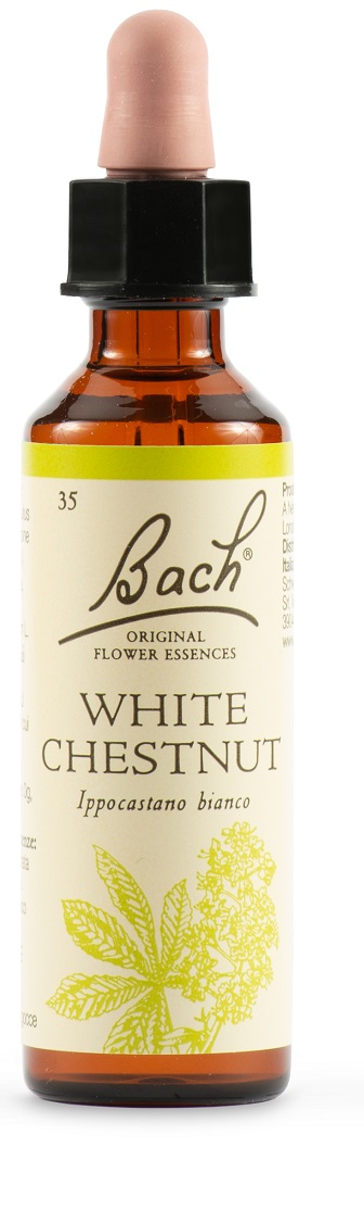 WHITE CHEST BACH ORIG 20 ML - Farma Nice