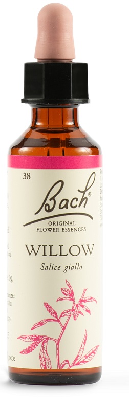 WILLOW BACH ORIG 20 ML - Farma Nice