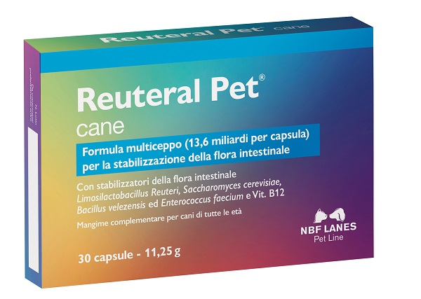 REUTERAL PET CANE 30 CAPSULE - Farma Nice