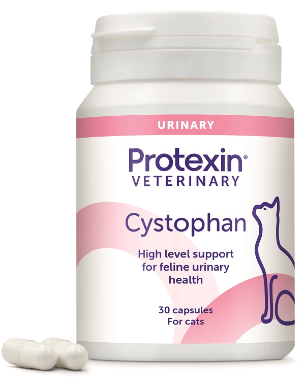 CYSTOPHAN 30 CAPSULE - Farma Nice